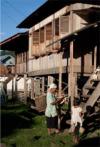 Wisata Desa